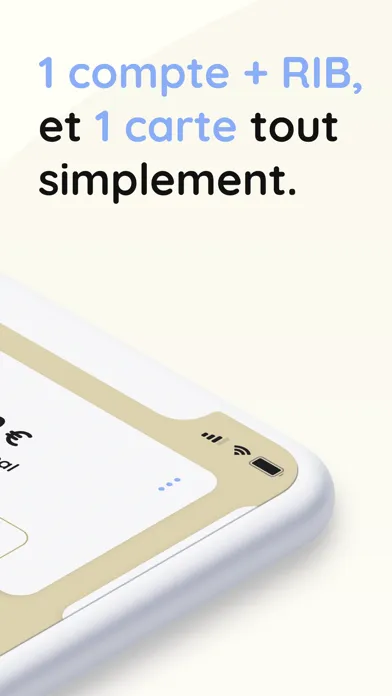 Capture officielle Noelse : compte, RIB et carte