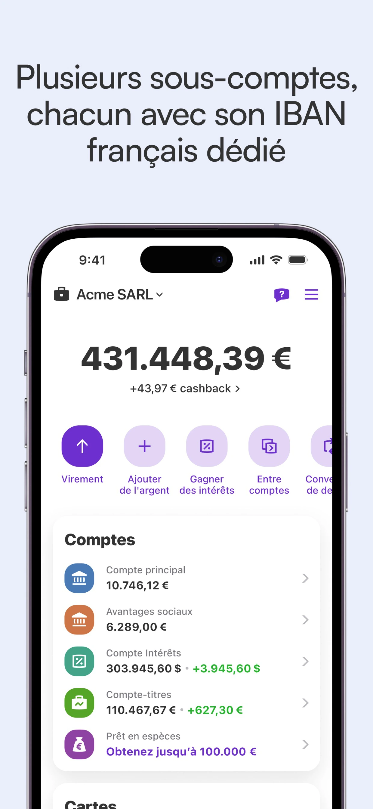 Comptes professionnels et IBAN français — application Vivid PRO